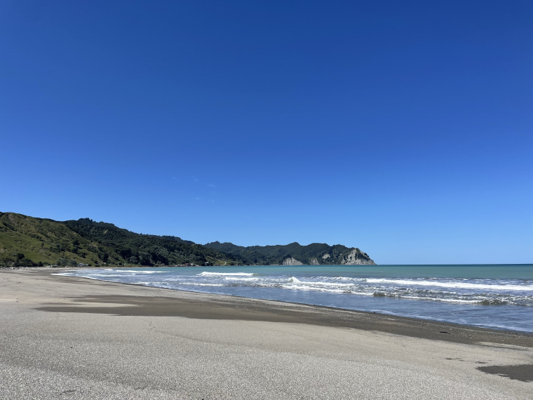 MicrosoftTeams image4